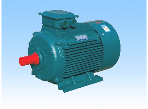 FZM SERIES THREE-PHASE INDUCTION MOTOR